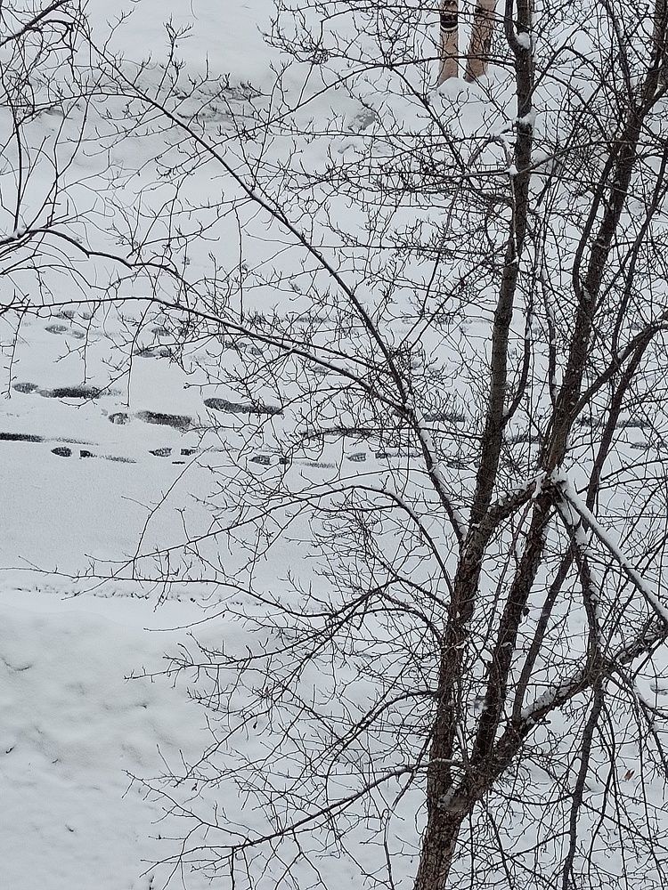 Photograph by Светлана Зотова