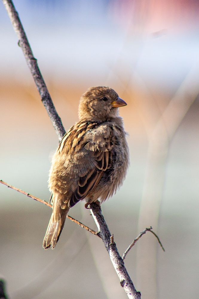 Photograph by Владимир Пилюков