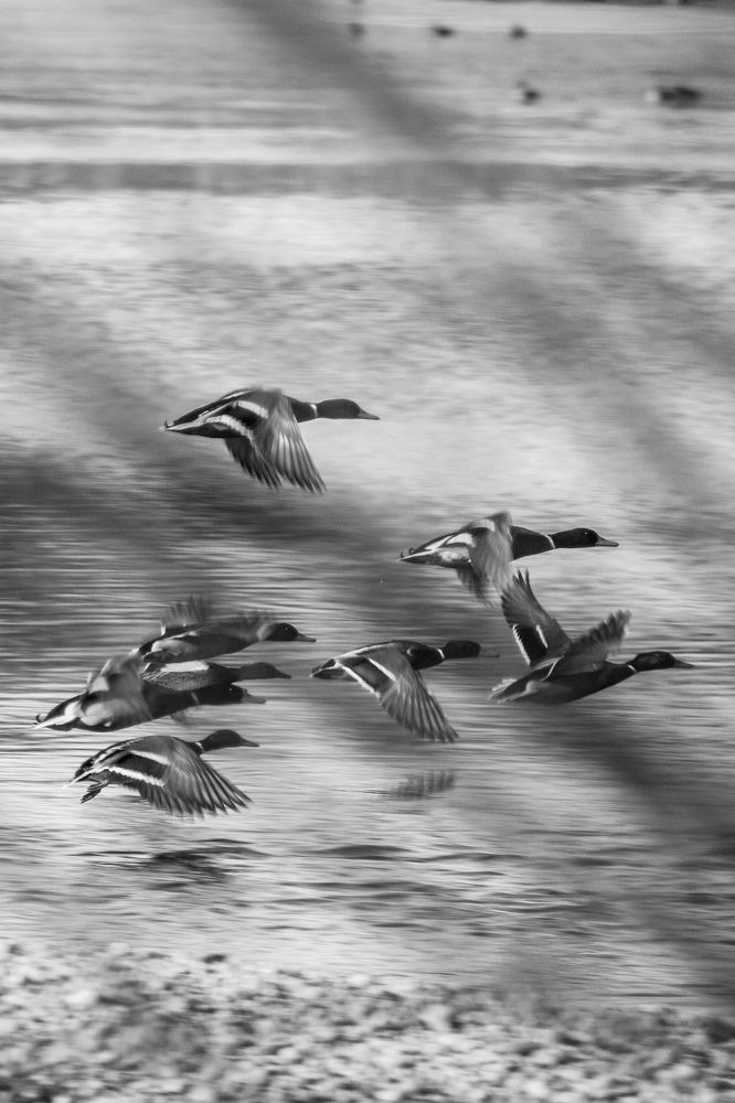 Photograph by Владимир Пилюков