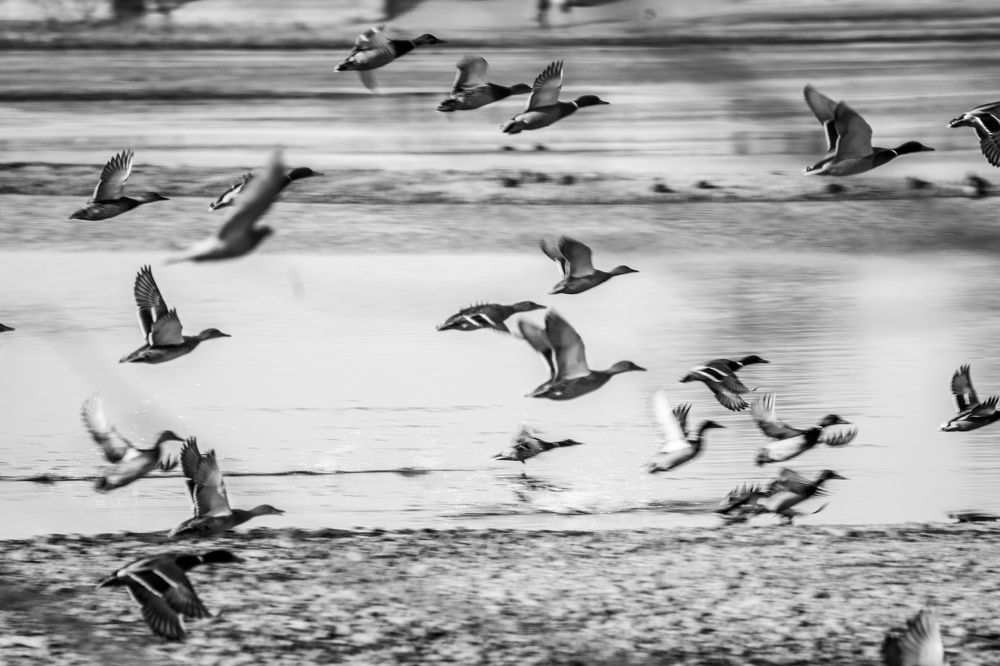 Photograph by Владимир Пилюков