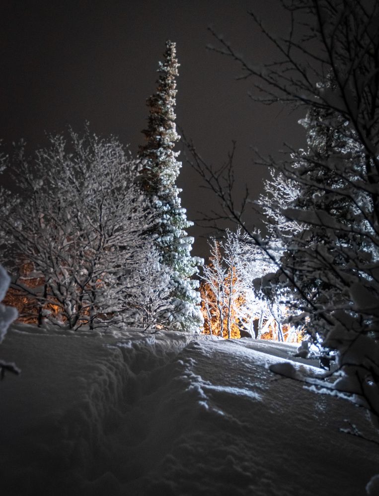 Фотография автора Мария Рохмистрова