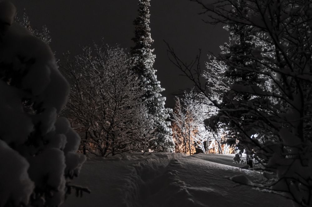 Фотография автора Мария Рохмистрова