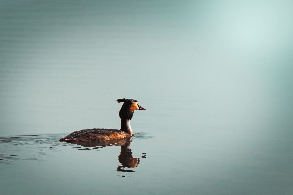 Photograph by Tereza Rozehnalová