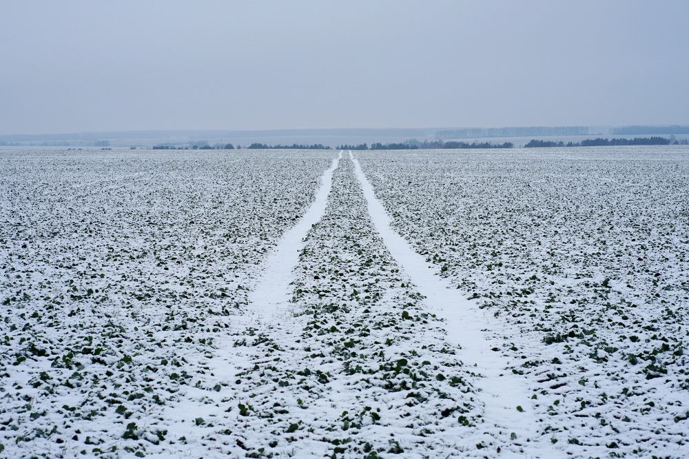 Photograph by Ирина Ксензова