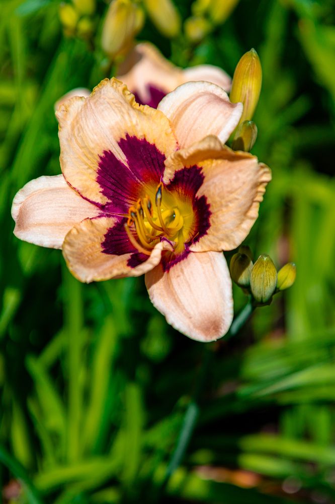 Photograph by Сергей Аникушин