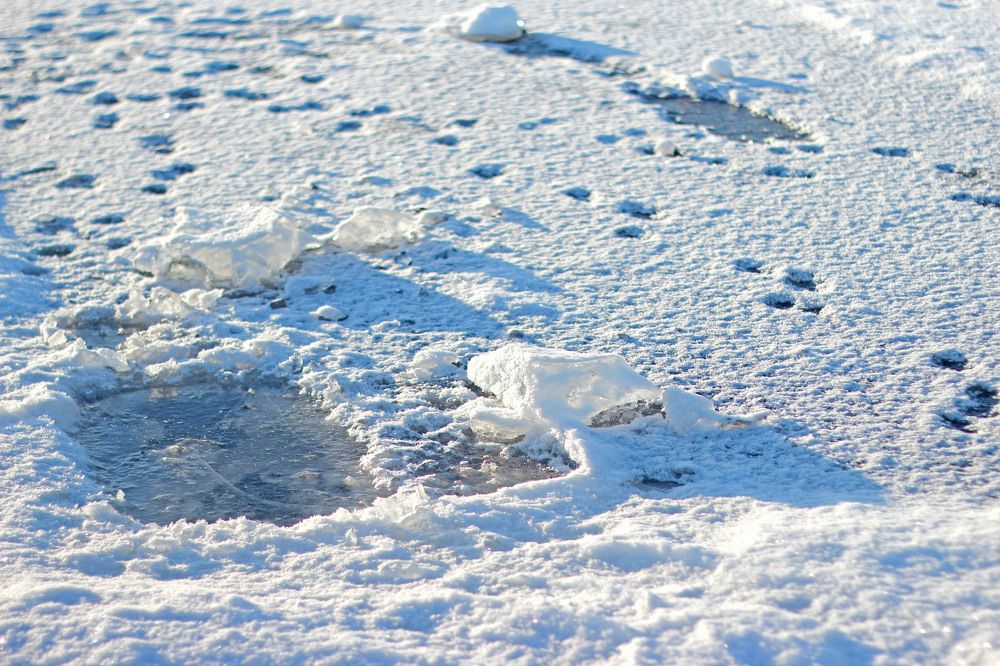 Photograph by Светлана Зотова