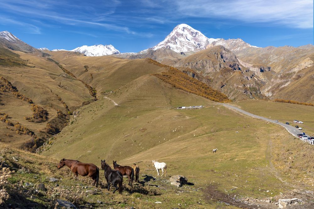 Photograph by Алексей Новиков