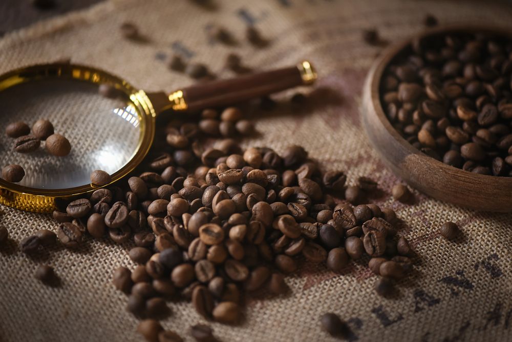 Photograph by Кос Виктория