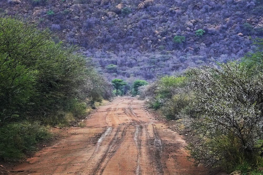 Photograph by Raed Victor Saad