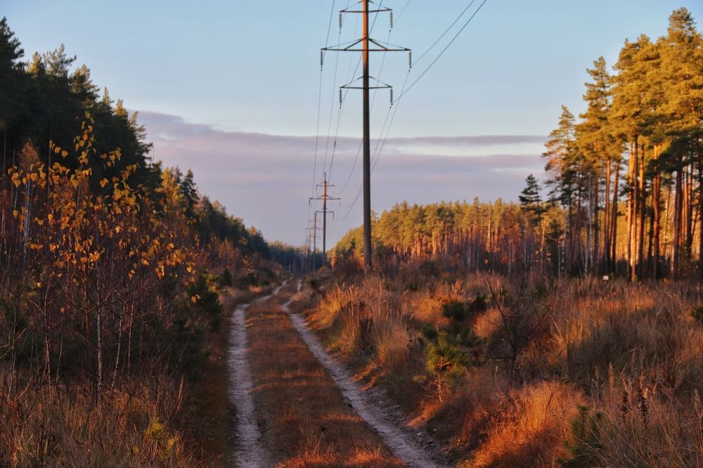 Photograph by Анна Любимова