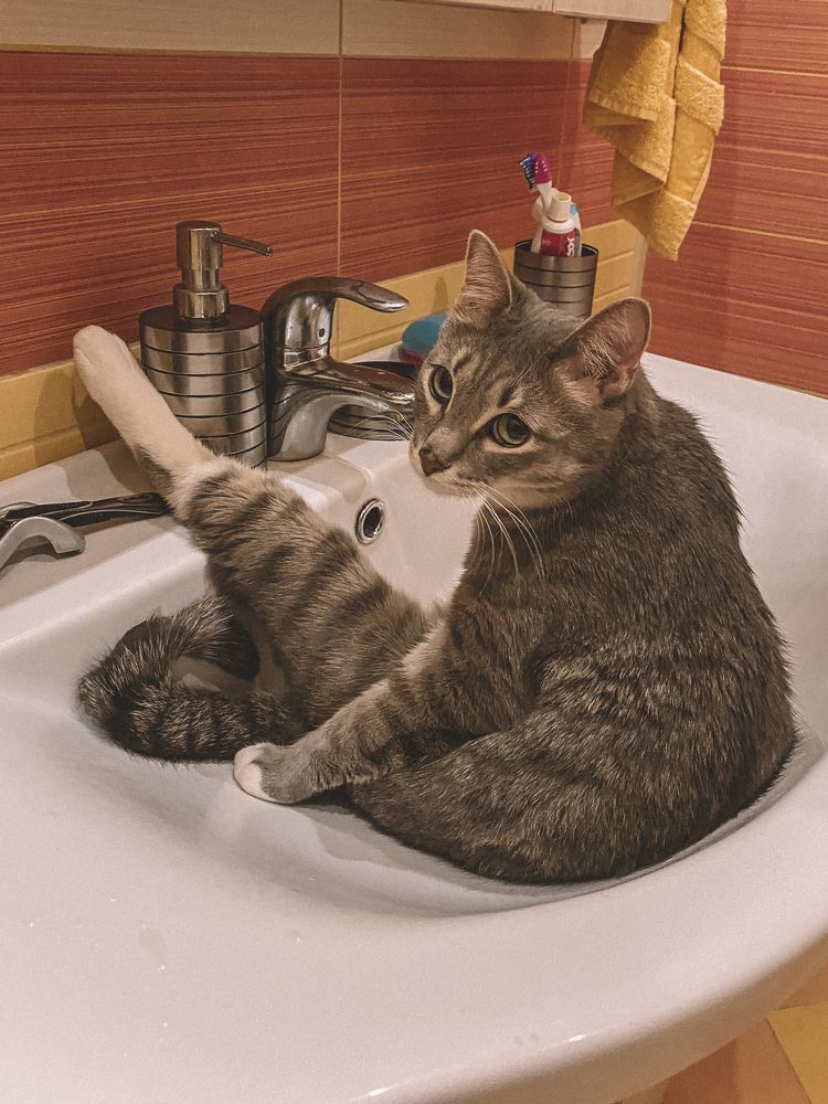 Photograph by Мария Петрова