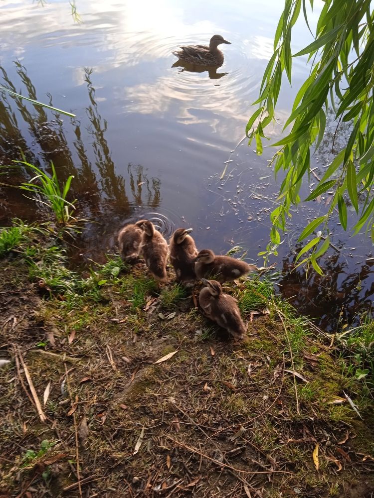 Photograph by Фёдор Викторович
