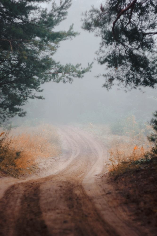 Photograph by Анна Любимова