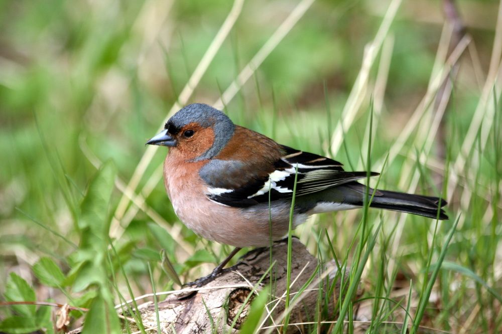 Photograph by Унку Юрий