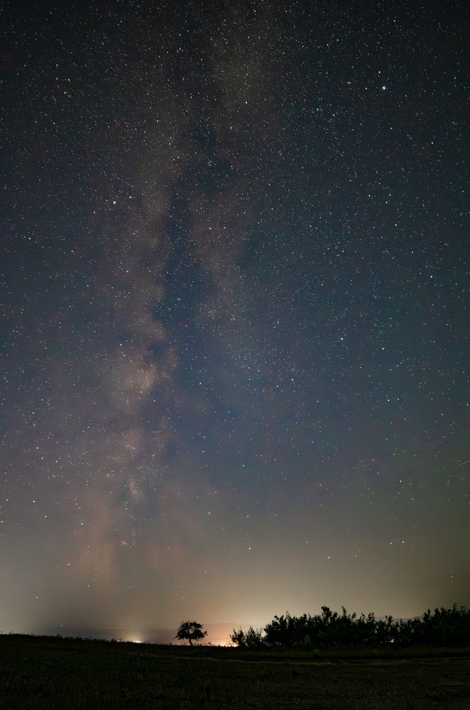 Photograph by Oksana Kuzmina