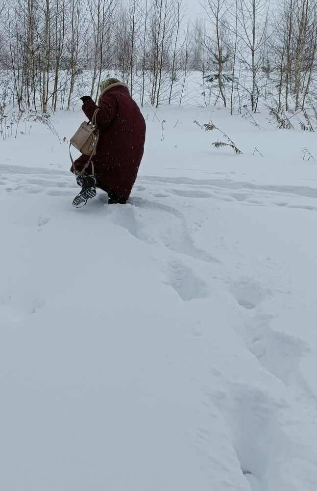 Фотография автора Татьяна Лука