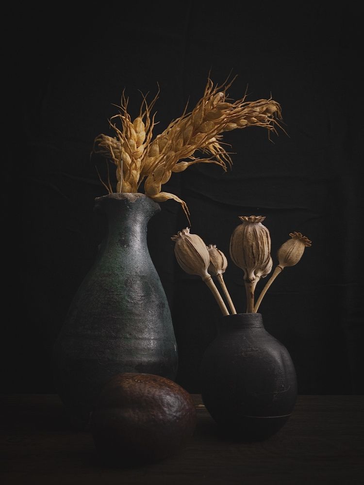 Photograph by Mahdi Rezaei