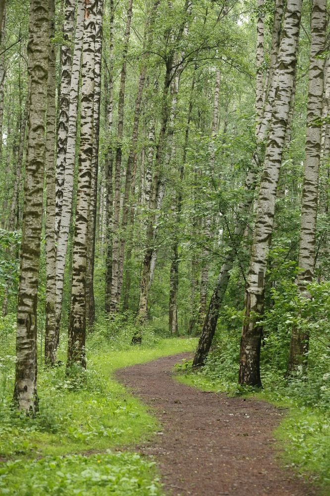 Photograph by Унку Юрий