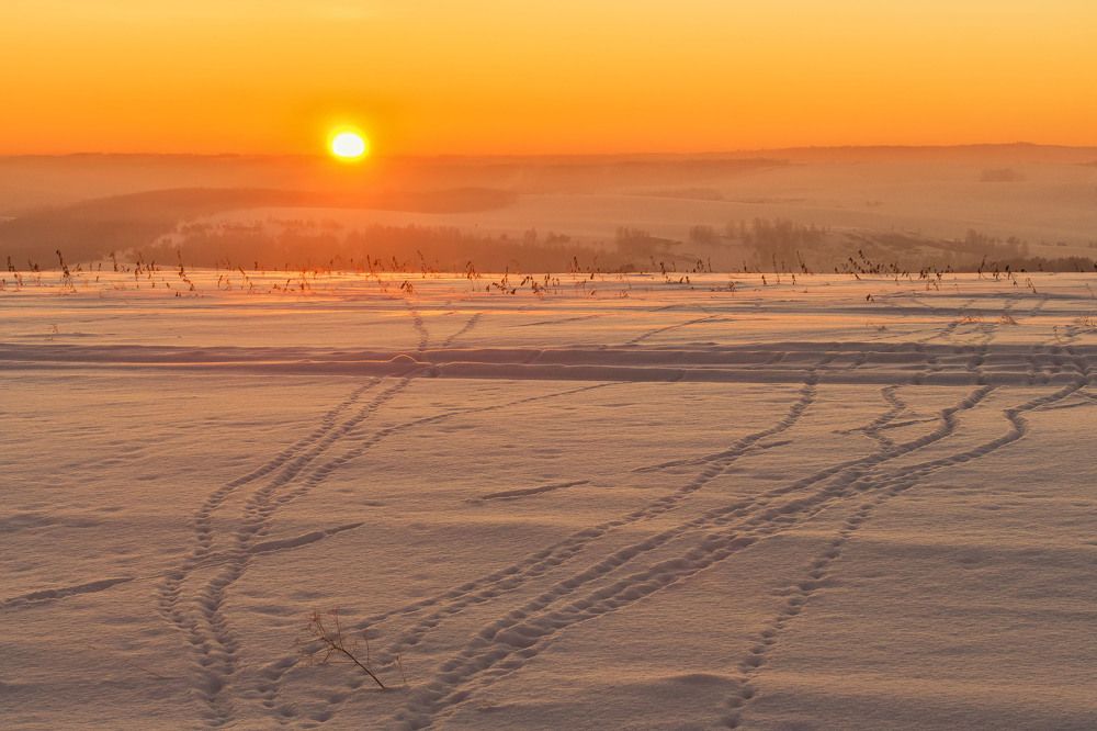 Утренние следы.