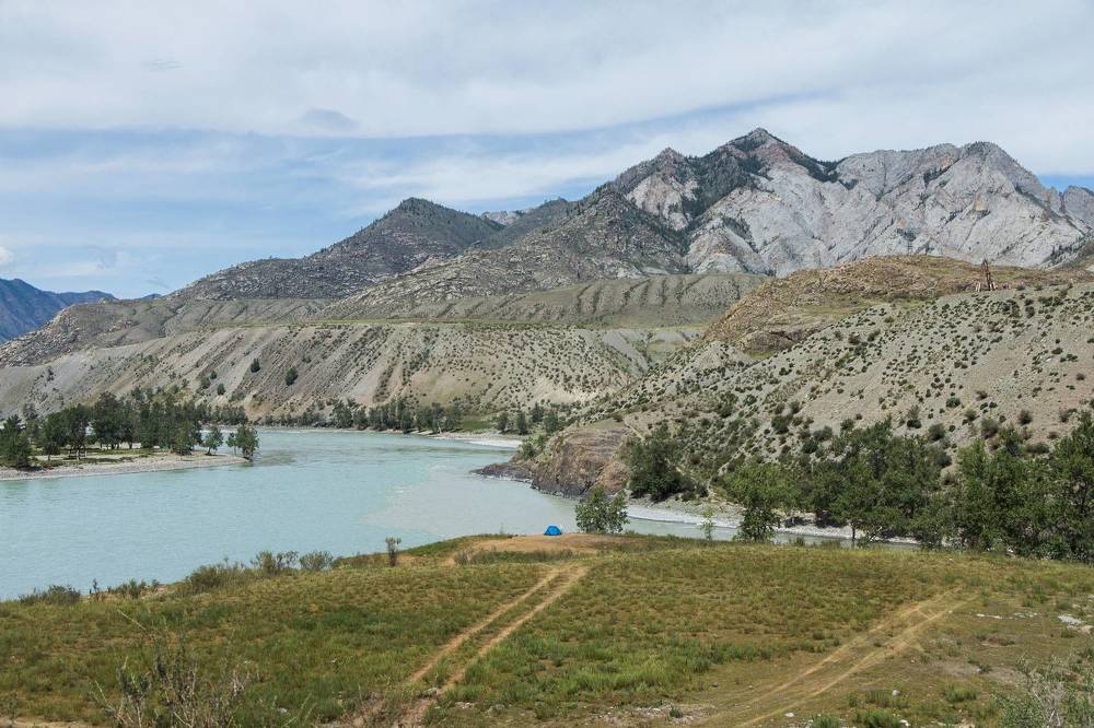Фотография автора Галина Шепелева