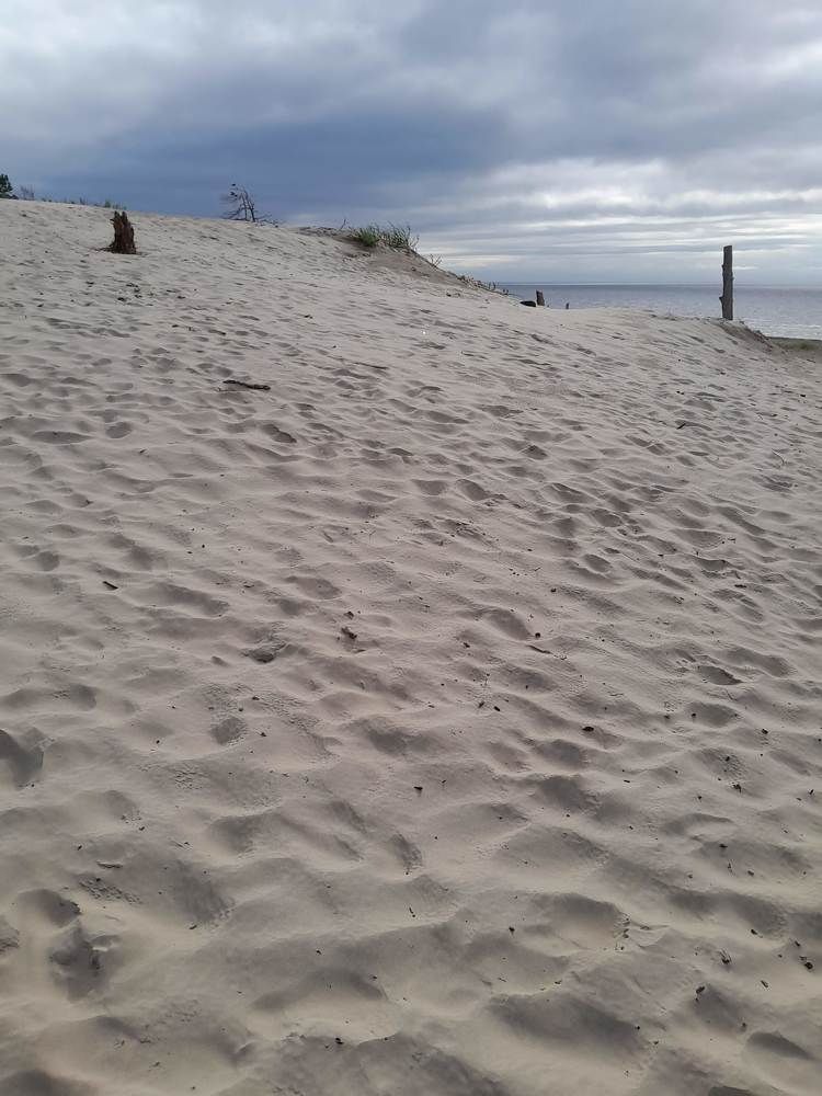 Photograph by Виталий