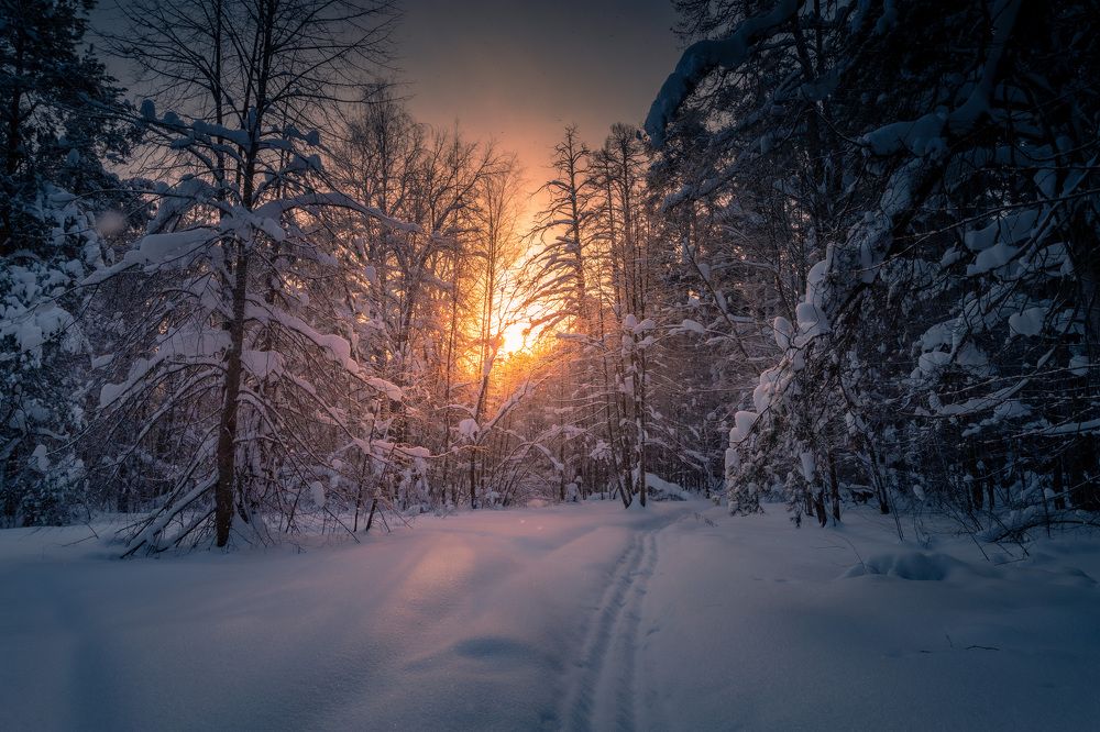 Photograph by Сергей Кочетов