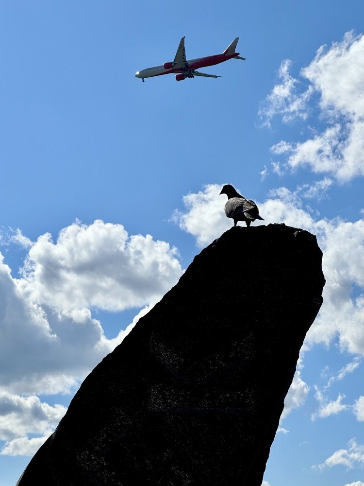 Фотография автора Ольга Горюнова