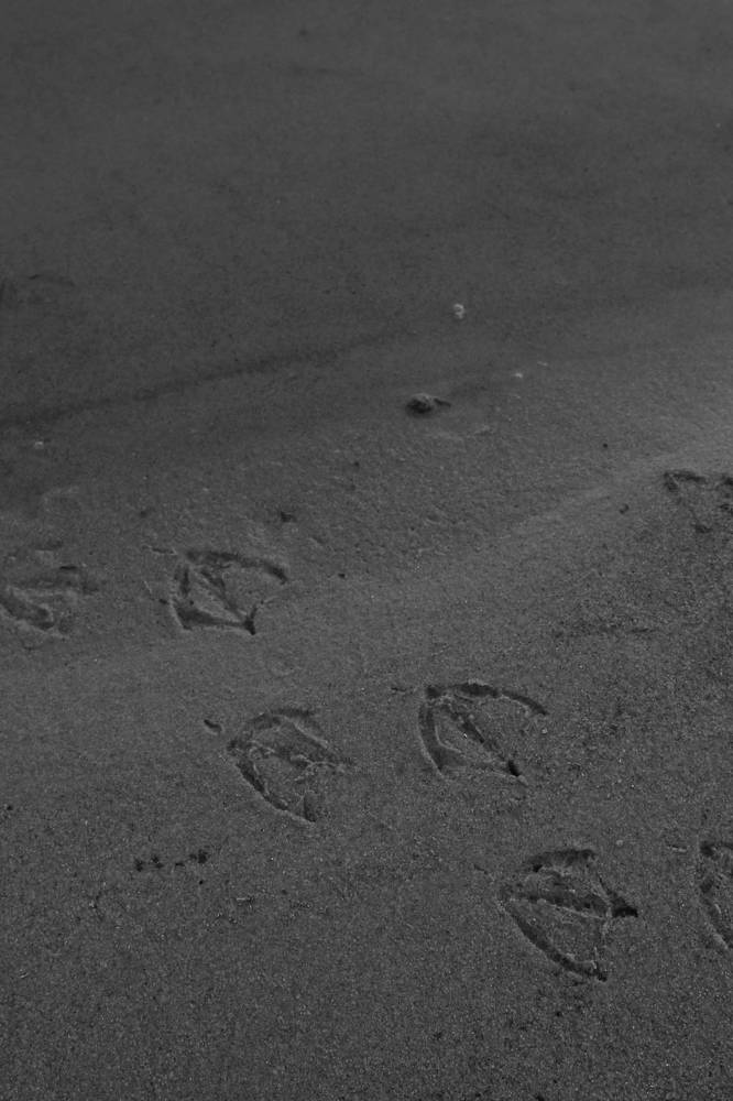 Photograph by Любовь Лунина