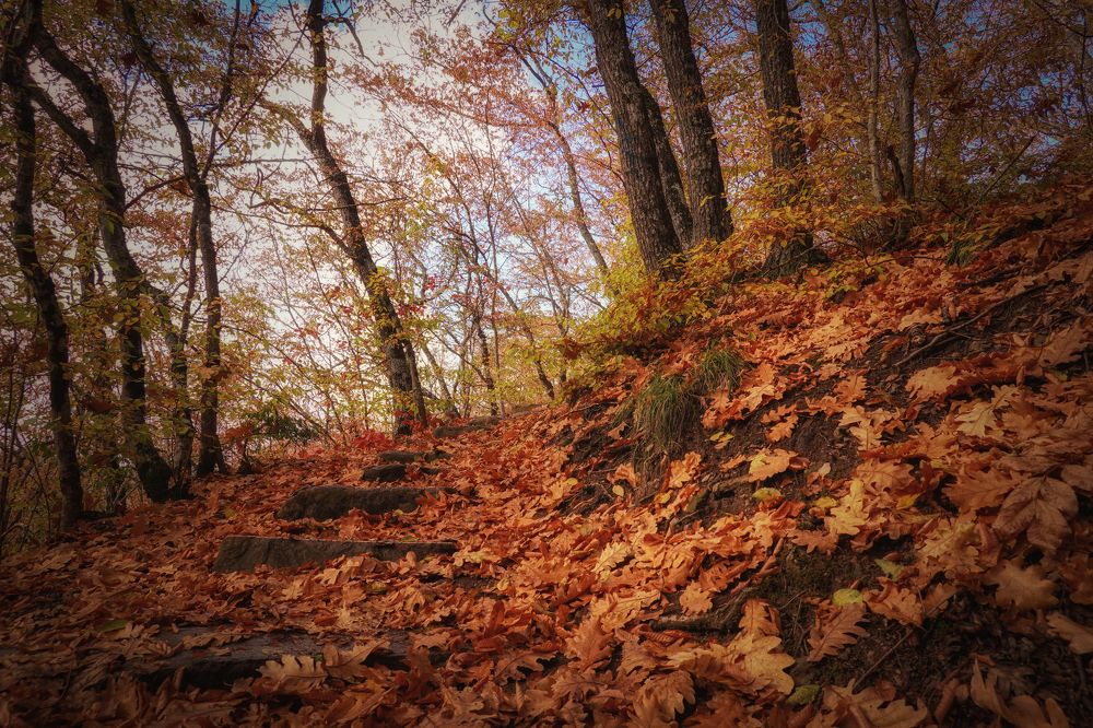 Photograph by Станислав Илюк