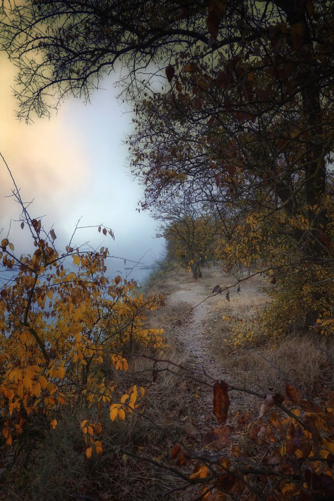 Photograph by Станислав Илюк