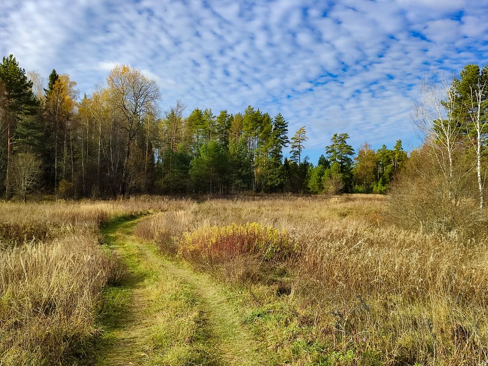 Photograph by Алёна Пшеленская