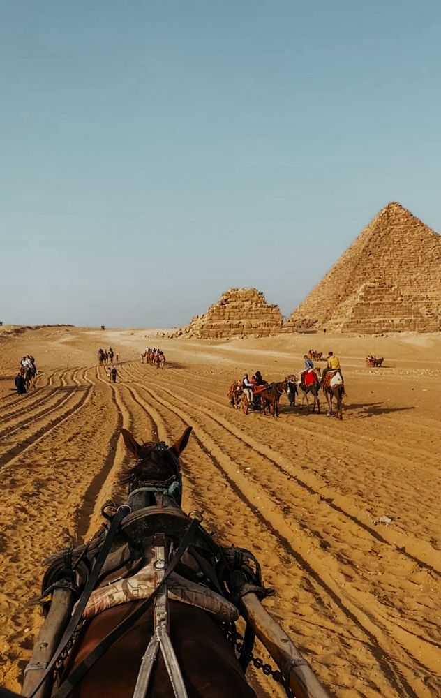 Photograph by Мария Петрова