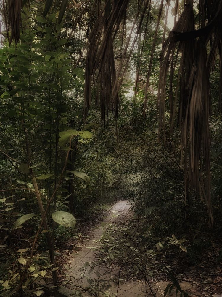 Photograph by Татьяна Семёнова