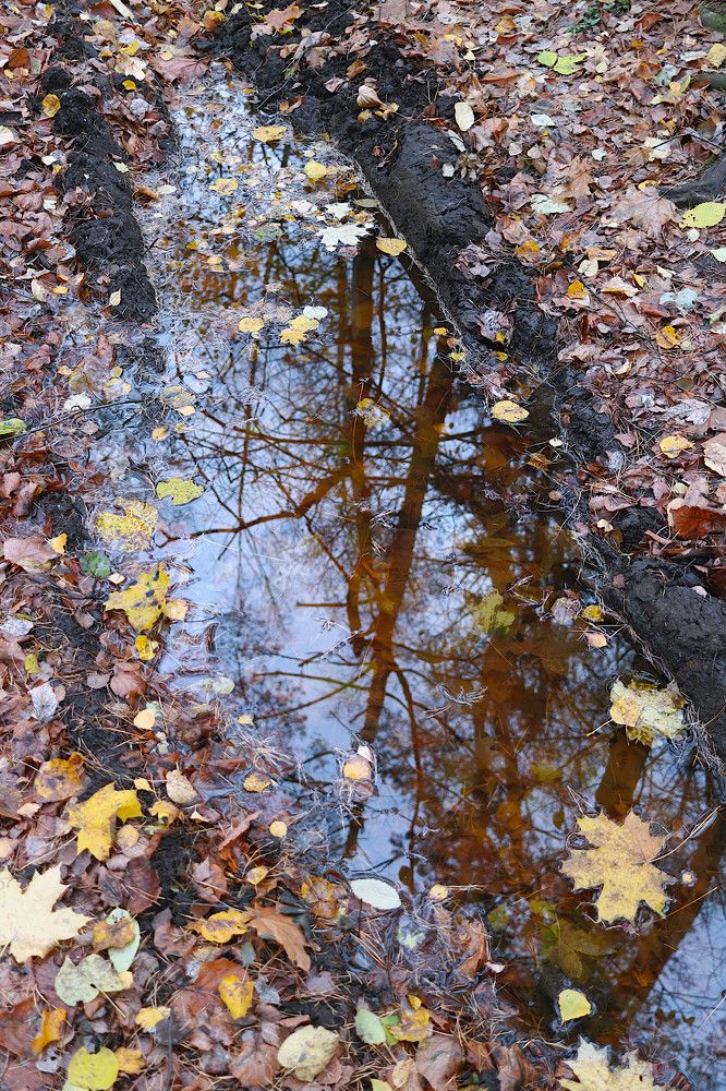 Photograph by Гагик Саркисян