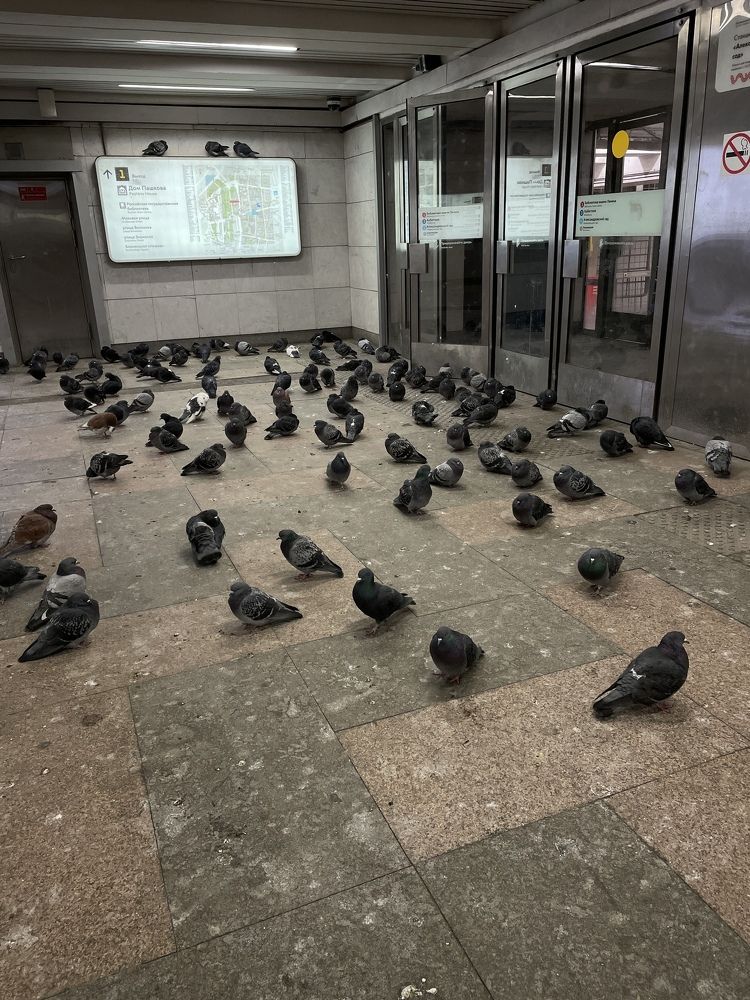 Photograph by Sergei Komlev