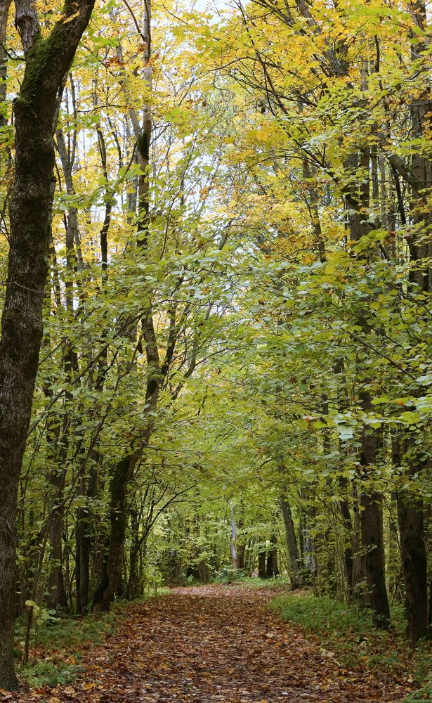 Photograph by Унку Юрий