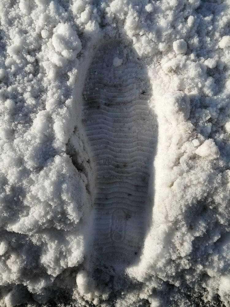 Photograph by Наталия