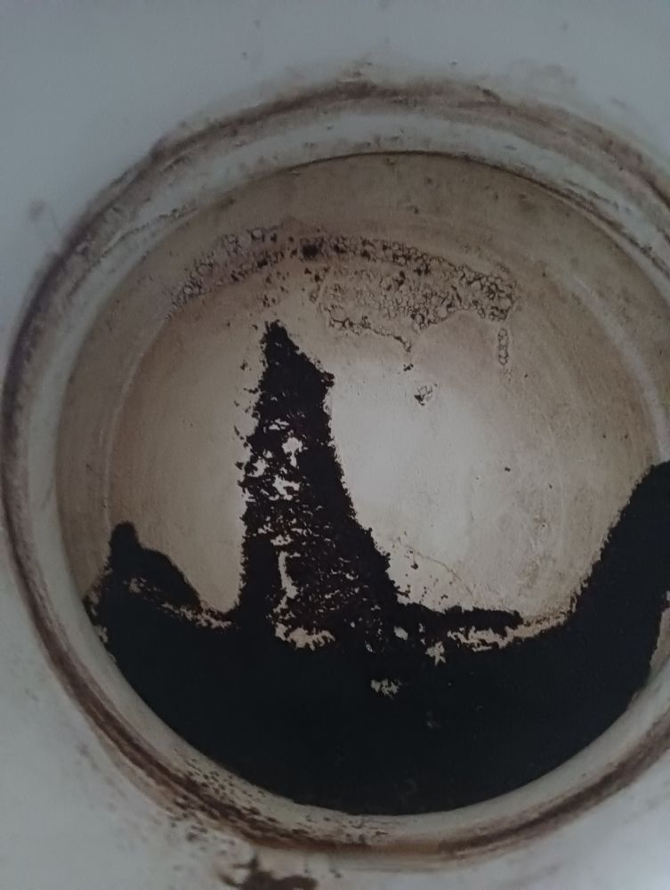 Photograph by Elena Mozhaeva