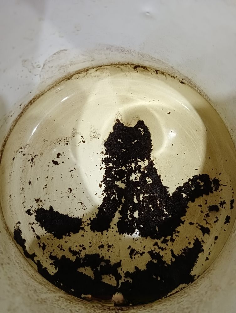 Photograph by Elena Mozhaeva