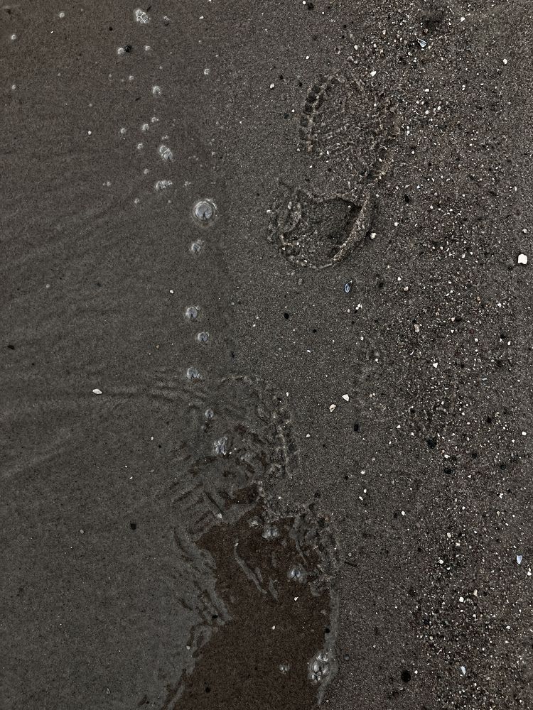 Photograph by Мария Карпычева