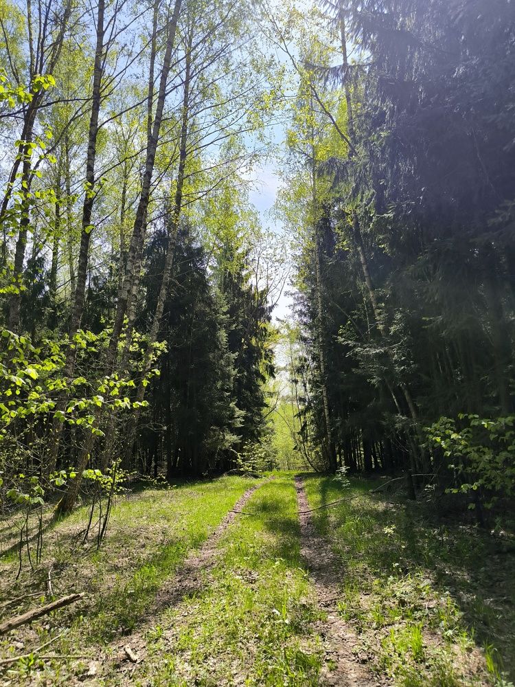 Photograph by Елена Симонова