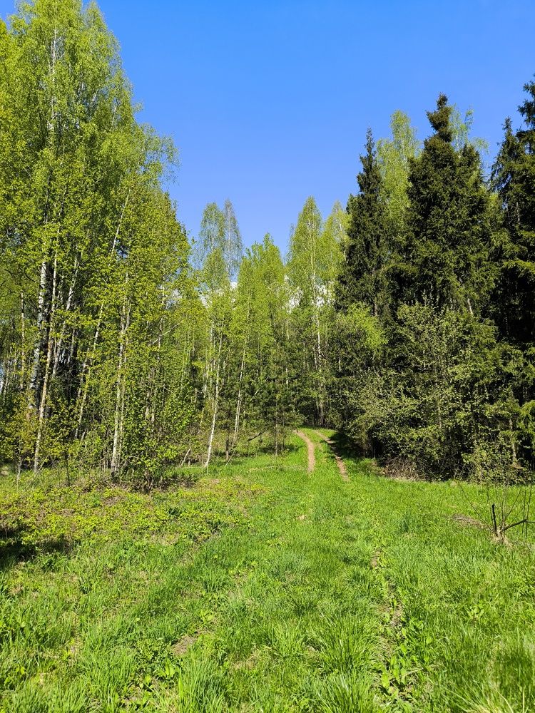 Photograph by Елена Симонова