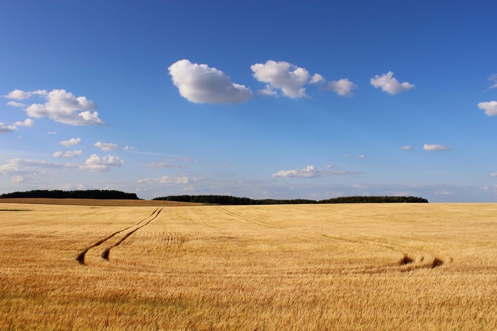 Photograph by Татьяна Сычёва