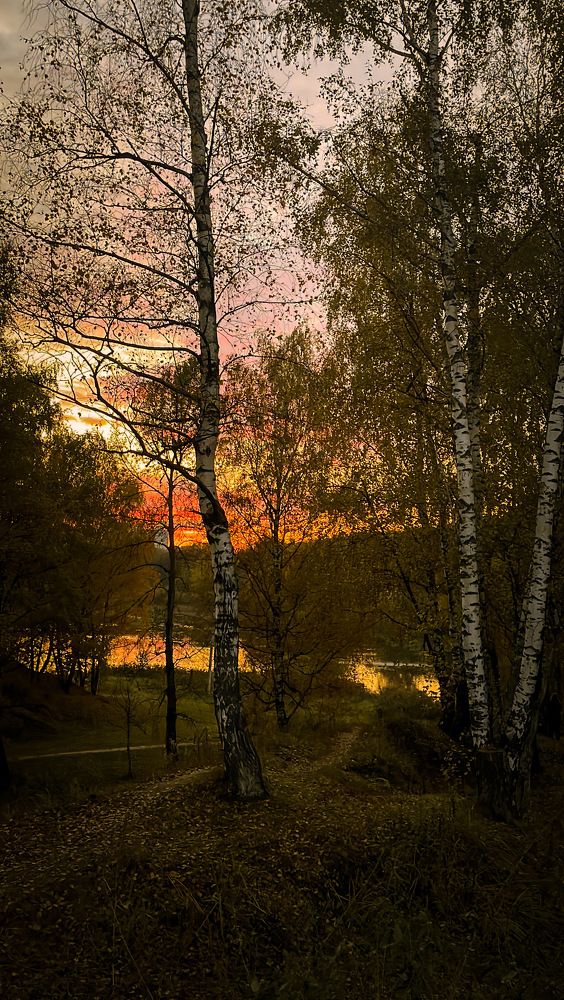 Photograph by Ольга Дорошенко