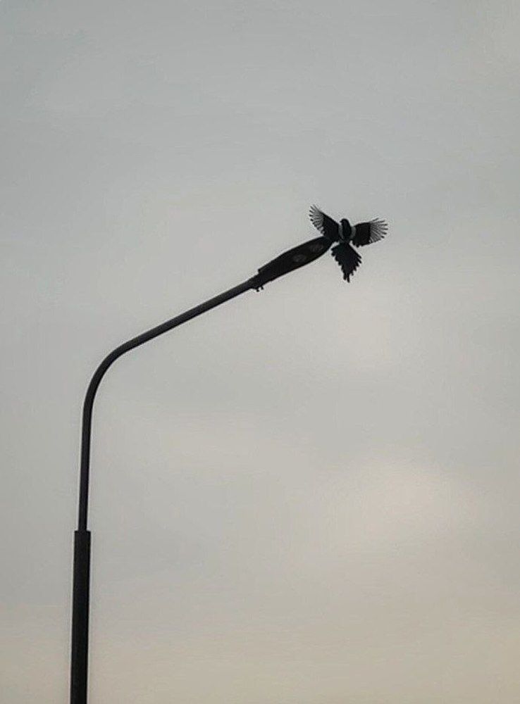 Photograph by Екатерина Козлова