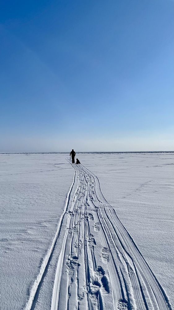 Следы на снегу