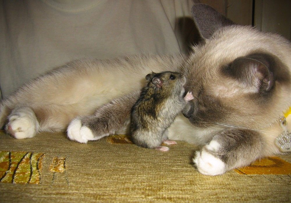 Закрой глазки