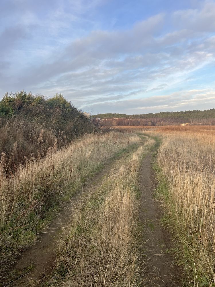 Photograph by Александра Акси