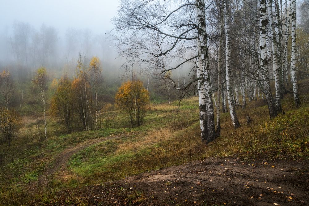 Photograph by Максим Сухов