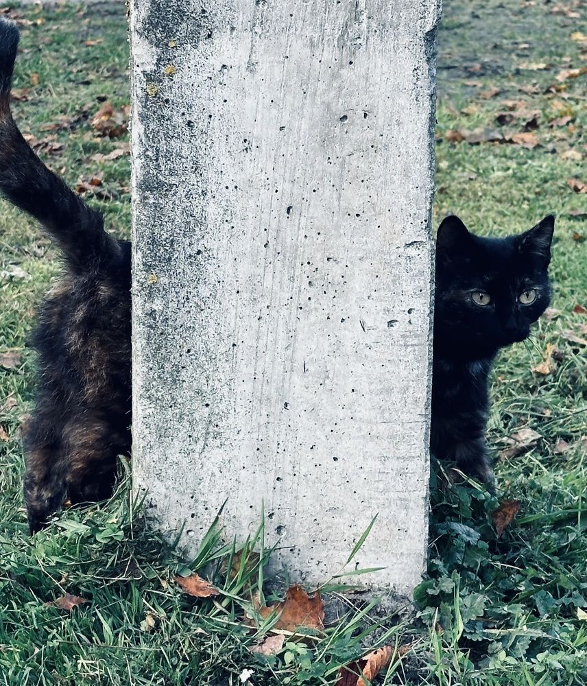 Photograph by Jekaterina Michejeva